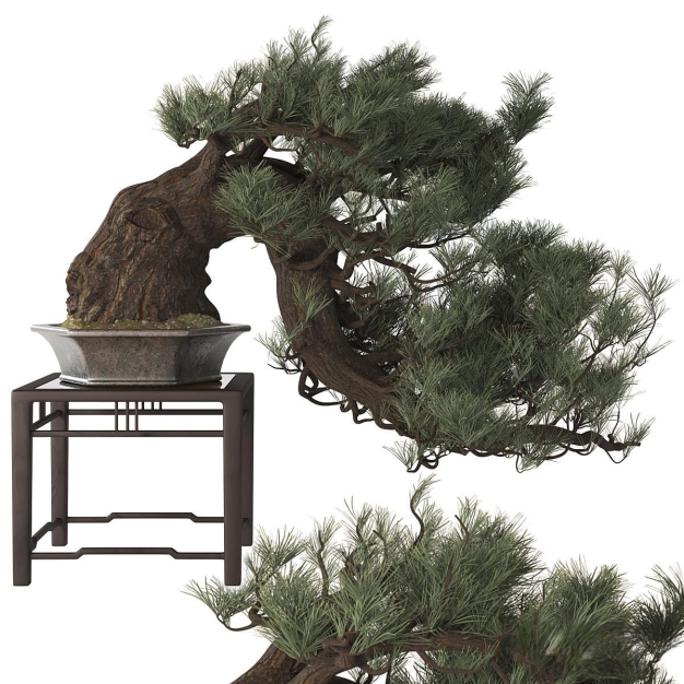 新中式松树盆景植物盆栽3D模型